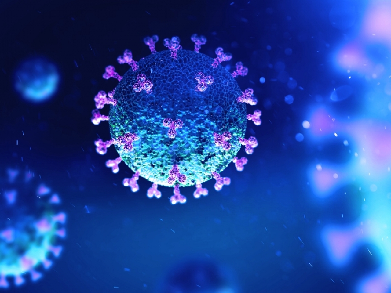 A further 21 people infected with Covid were reported to have died. Image: Shutterstock