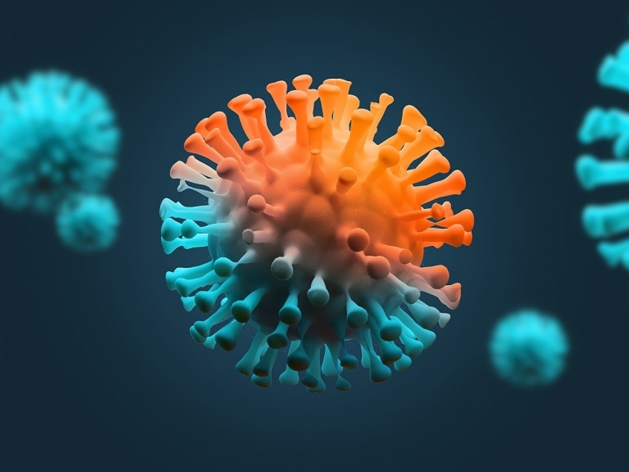 Thirty-five more patients with Covid have died. Image: Shutterstock