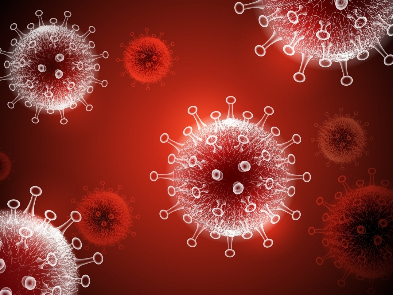 Health officials say another 50 people with Covid have died. Image: Shutterstock