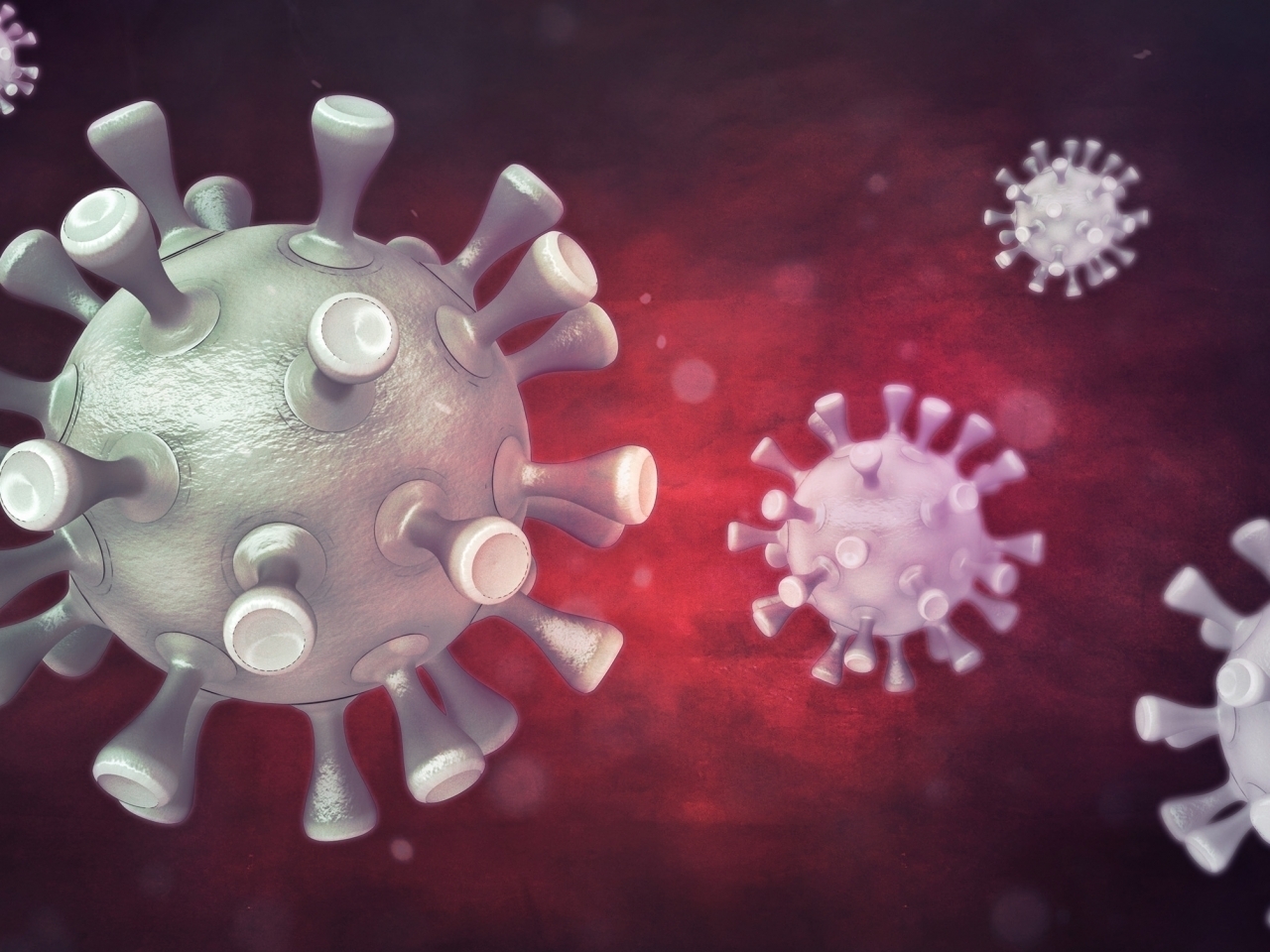 Seventy-two more Covid patients have died. Image: Shutterstock