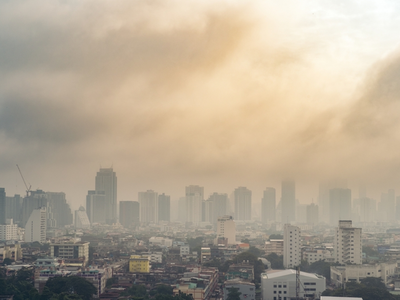 Scientists say elderly people may be particularly susceptible to pollution-linked depression. File image: Shutterstock