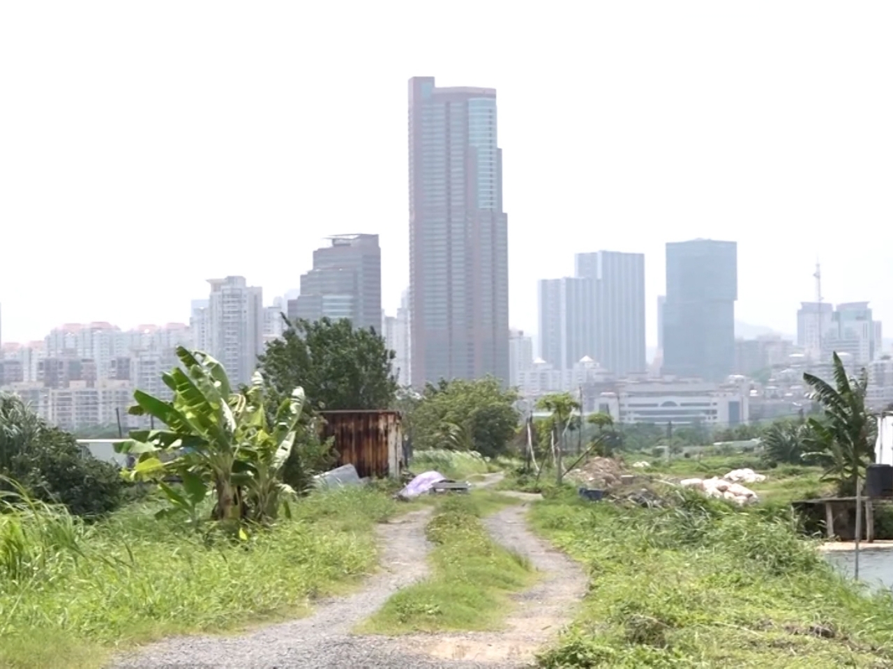 The Development Bureau says most of the area has a low ecological value. File photo: RTHK