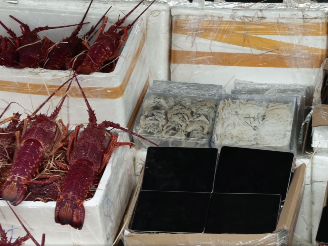 海關在香港仔一帶進行反走私行動，檢獲1600隻活龍蝦、一批貴價食材和電子產品。（海關社交網站片段截圖）