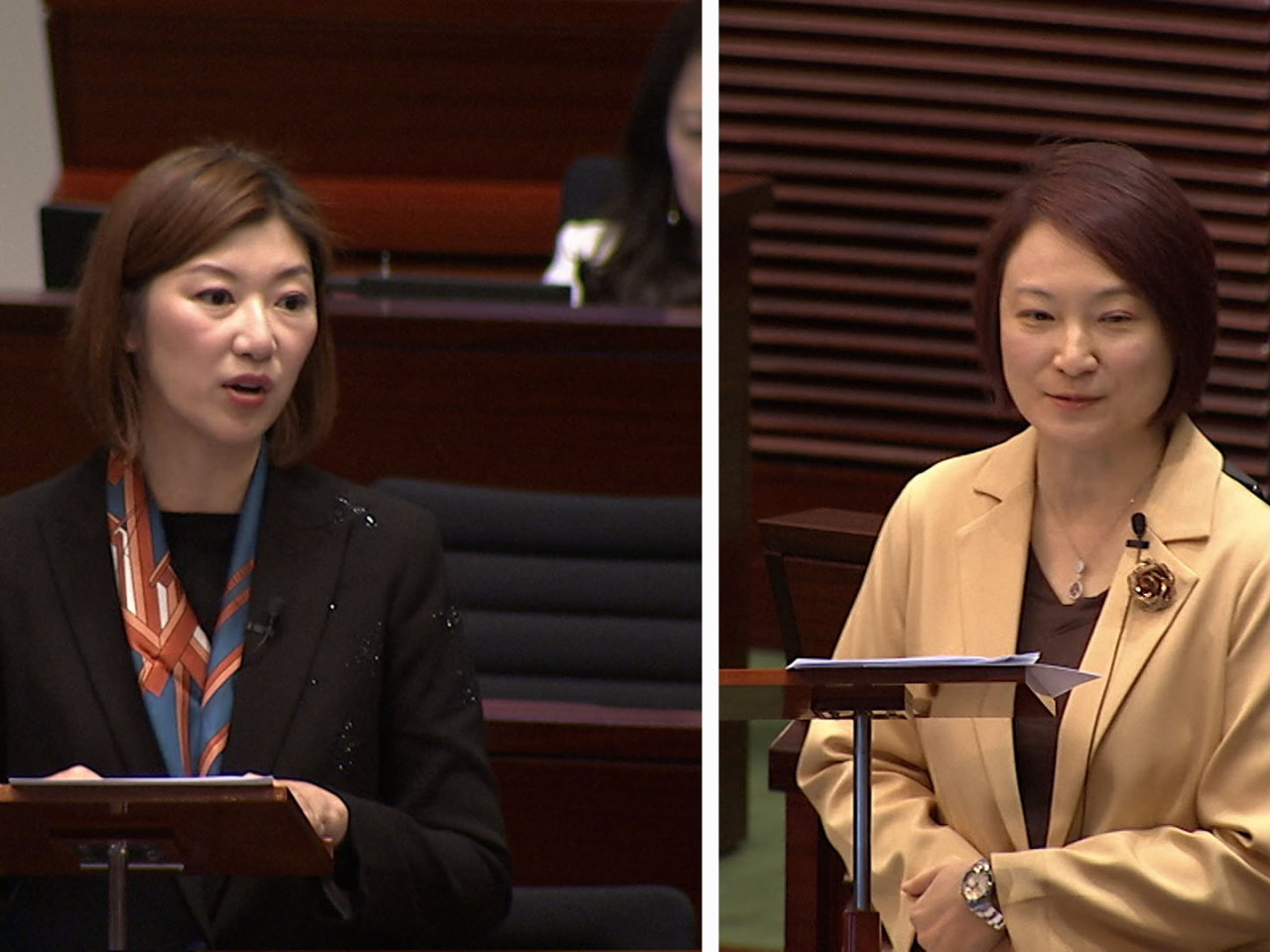 容海恩（左）說，政府要正視女性普遍遲婚及難覓對象的問題；李慧琼（右）年輕夫妻考慮是否生育，能否換樓屬於重要考慮。