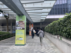 財政預算案2025｜消息指提早公布凍薪冀公務員提早準備