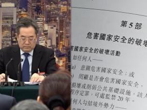 全國兩會｜馬逢國：丁薛祥特別強調二十三條立法圓滿完成