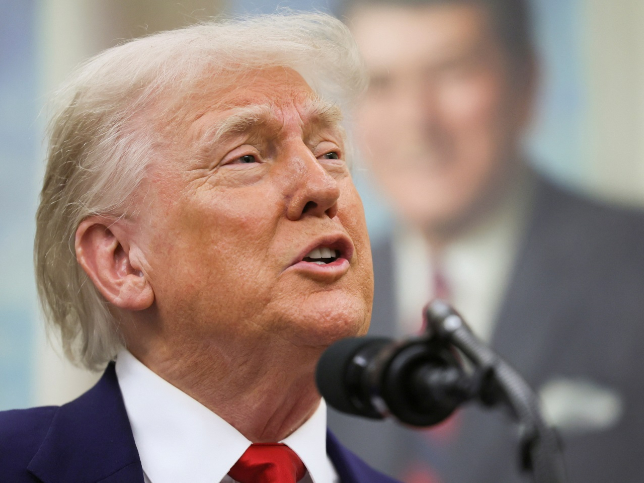 Donald Trump says the US "has been looted, pillaged, raped and plundered by nations near and far, both friend and foe alike". File photo: Reuters