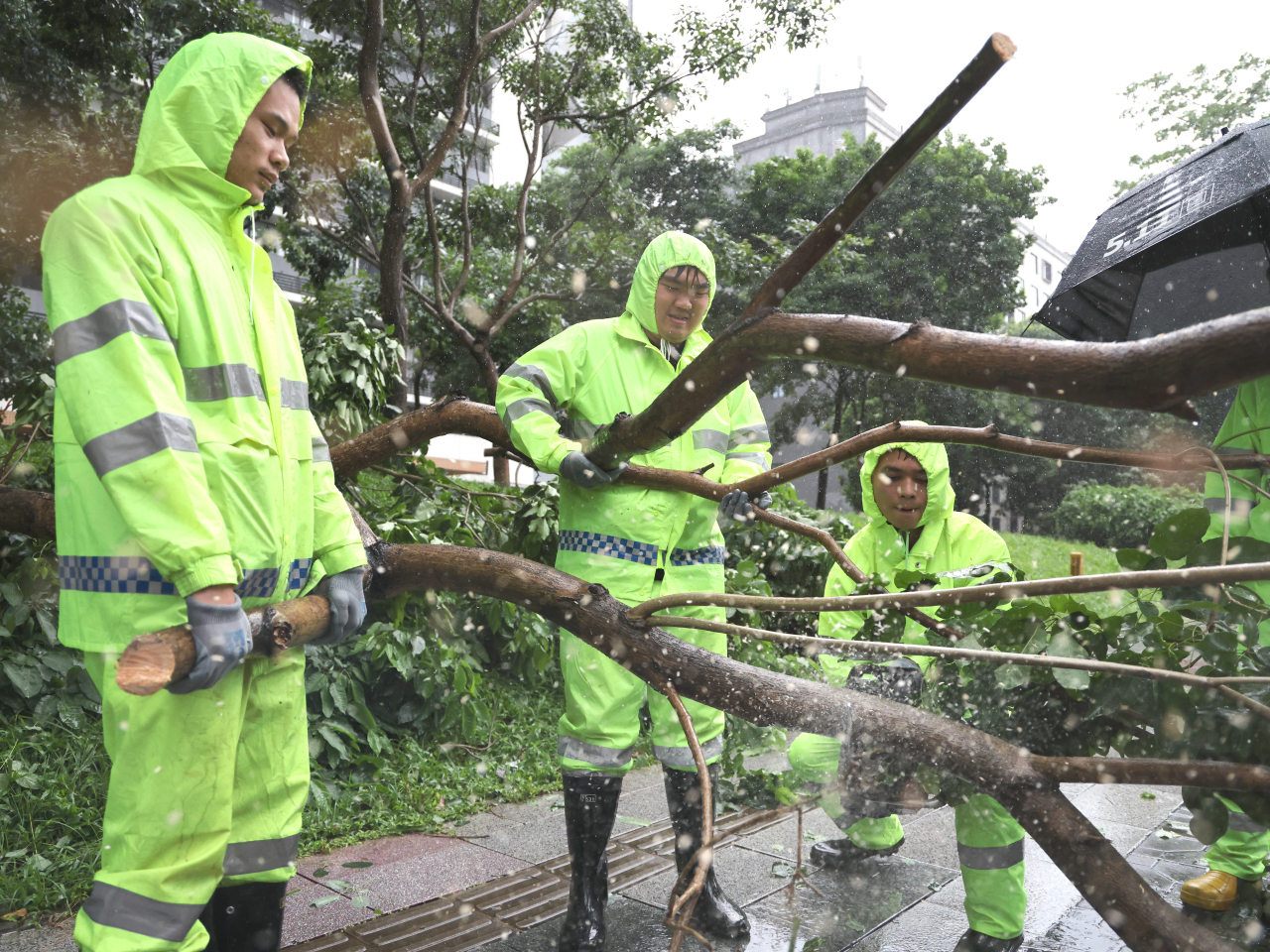 Workers in Jiangmen remove tree branches from roads. Photo: Xinhua