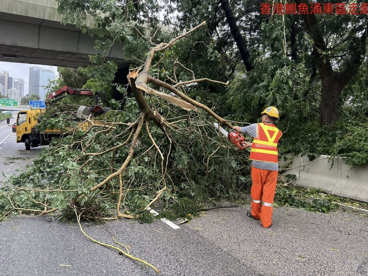 路政署表示，截至今晚9時，共接獲近600宗道路事故報告，當中近八成涉及塌樹阻路。（路政署社交專頁）