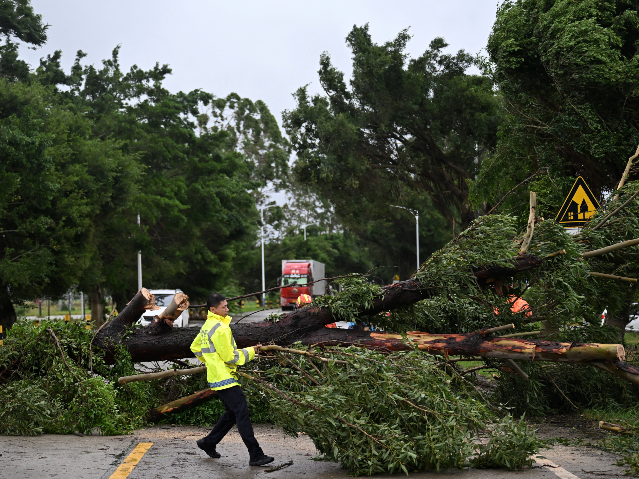 A worker removes a fallen tree on a road in Taishan after Typhoon Wipha made landfall. Photo: Reuters
