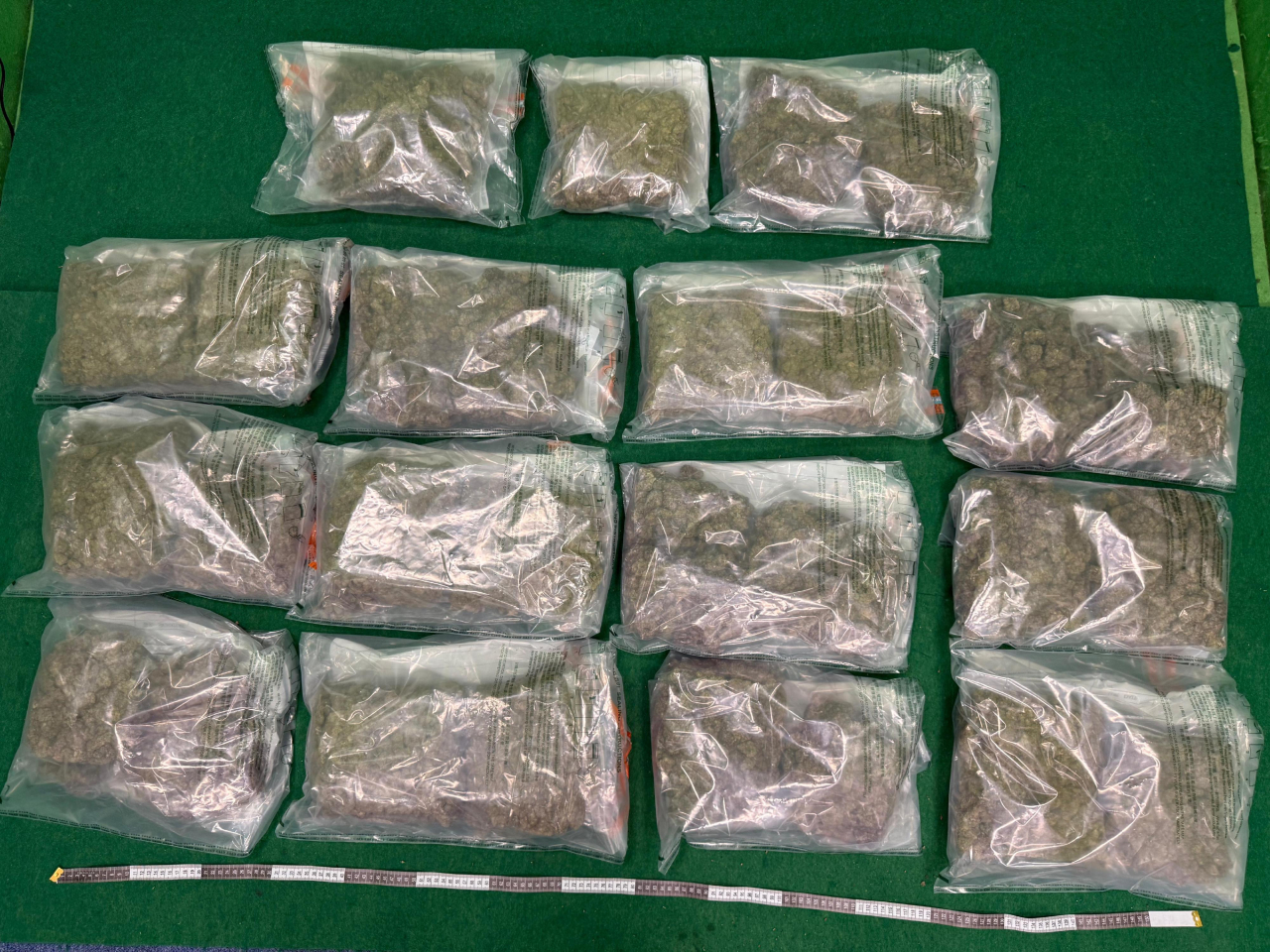 海關在機場檢獲約14公斤懷疑大麻花，估計市值約3百萬元。圖示為檢獲的懷疑大麻花。（政府新聞處）