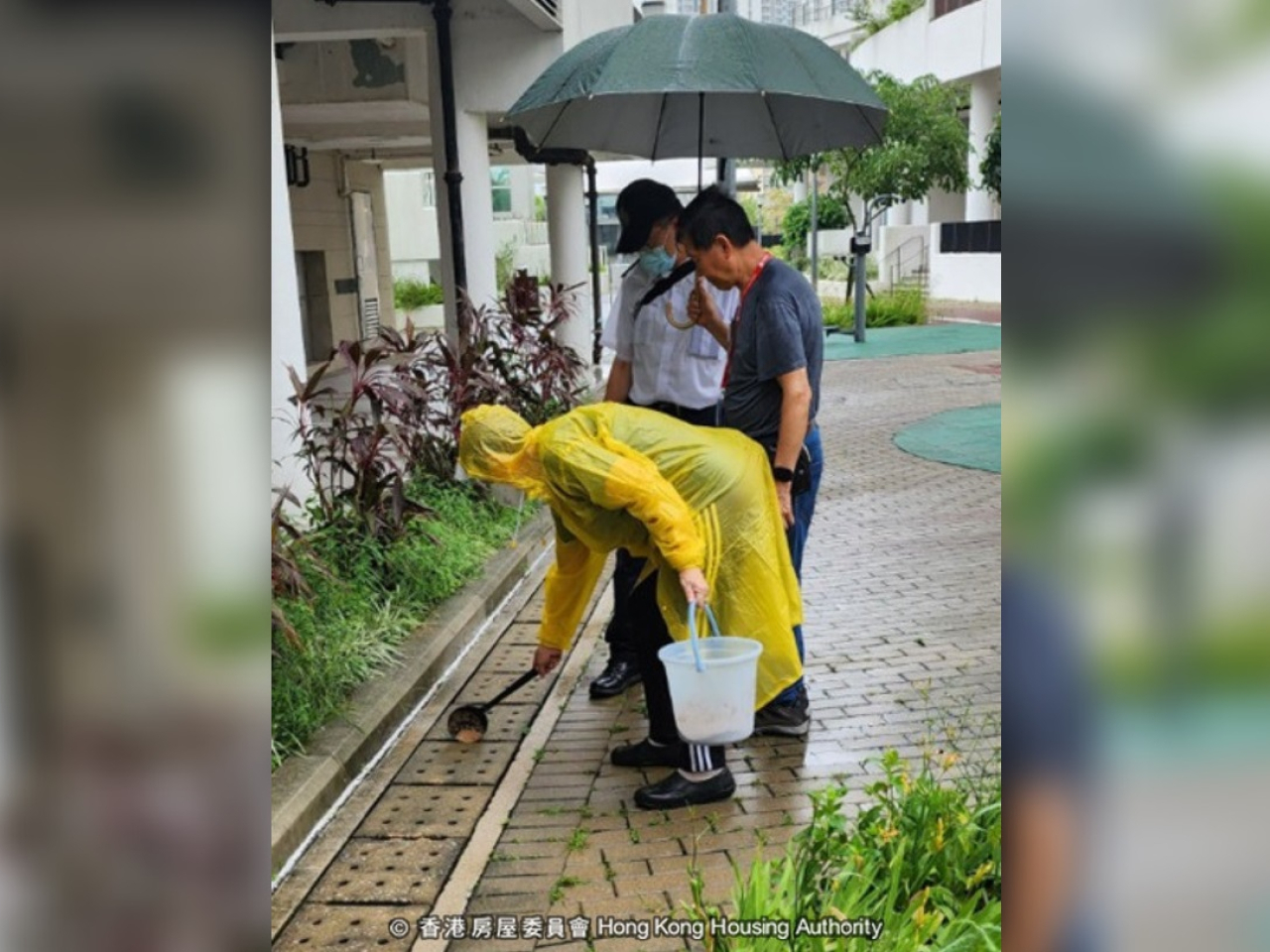 房屋署在安達邨展開防蚊工作，包括放置蚊子陷阱，噴灑蚊霧，施放蚊油及蚊沙，加強屋邨消毒。（房委會Facebook）