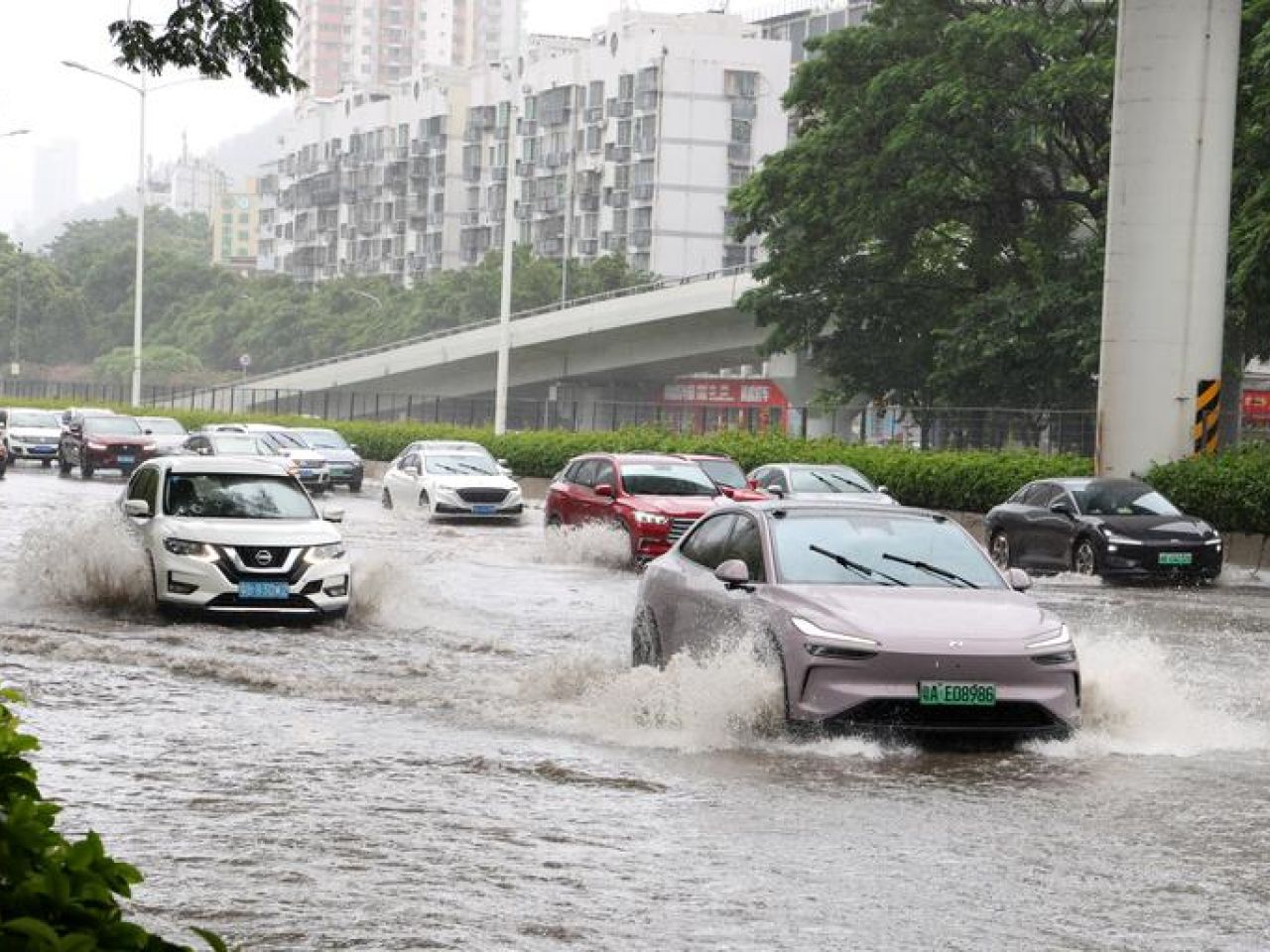 廣東持續暴雨，車輛在深圳積水路面行駛。(新華社資料圖片)