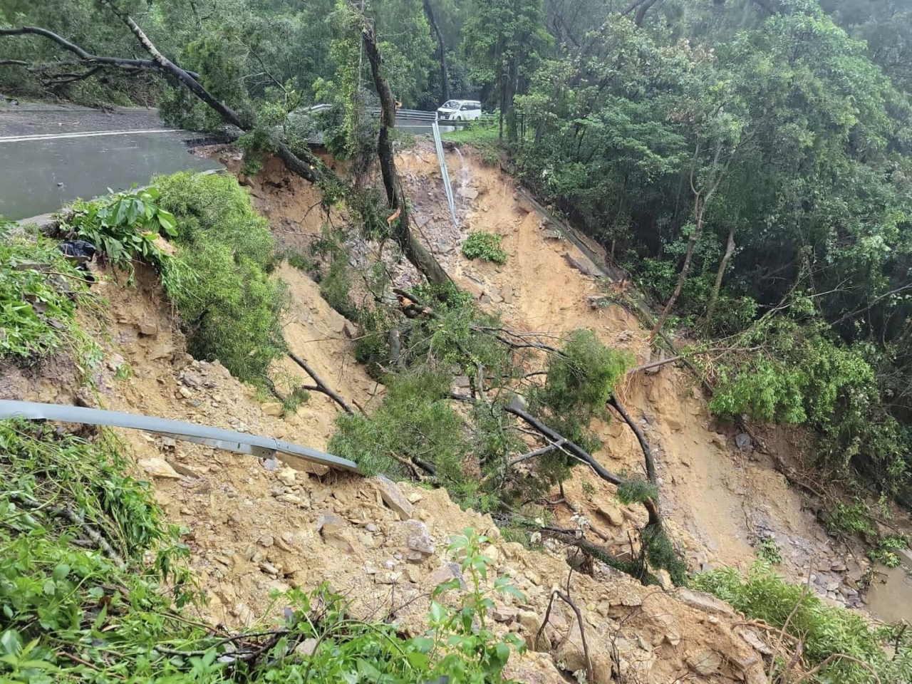 大埔新娘潭路涌背受山泥傾瀉影響 (土力工程處圖片)