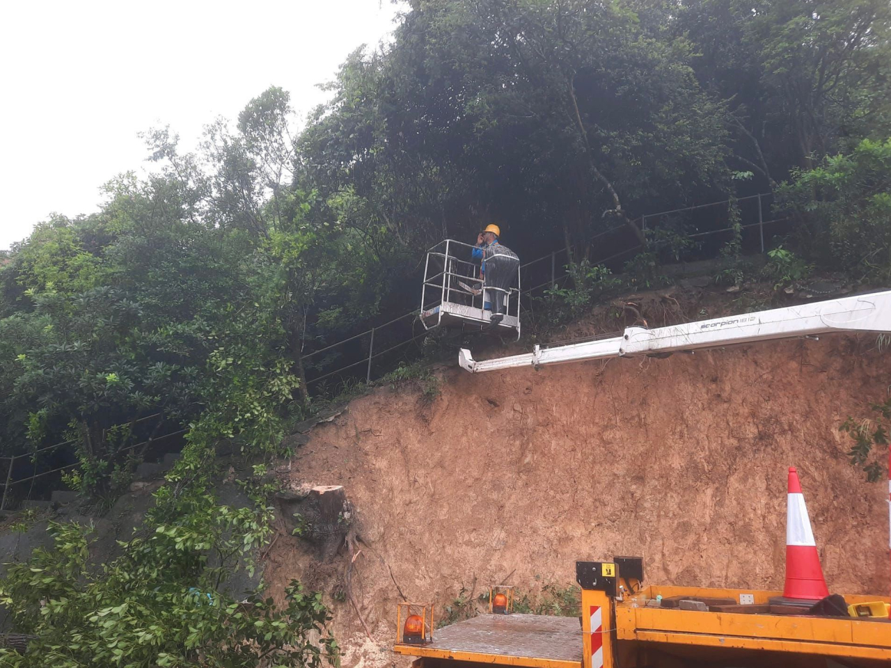 路政署承建商在大潭道山泥傾瀉現場緊急移除有倒塌風險樹木。（路政署提供）