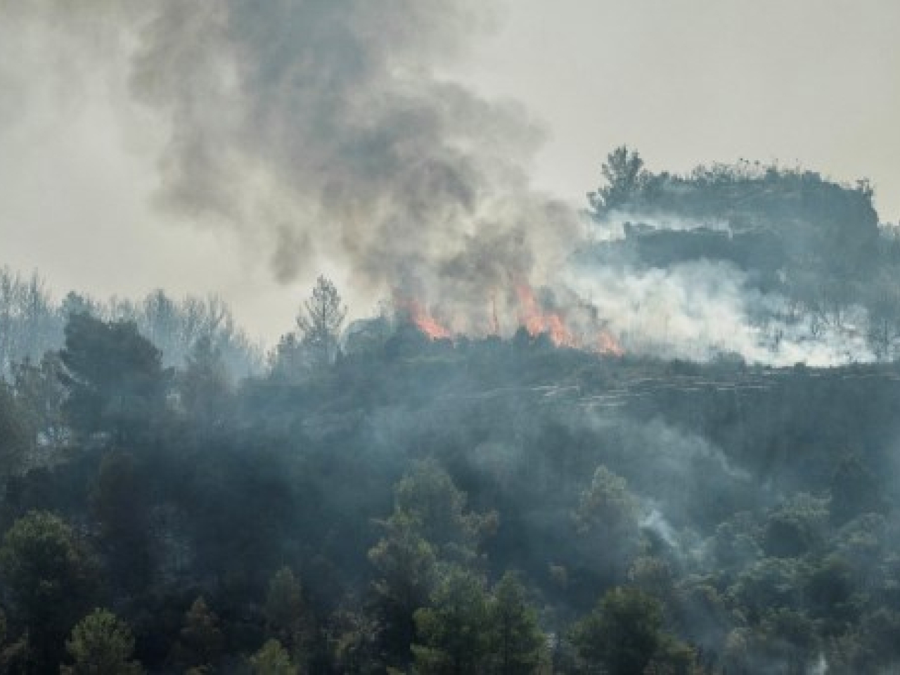 The blaze has burned some 15,000 hectares of land in less than 24 hours. Photo: AFP