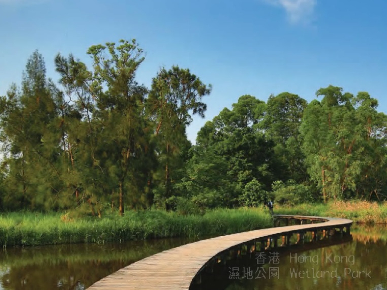 香港濕地公園將於本月15日免費開放，並於場內提供免費公眾導賞團。（濕地公園圖片）