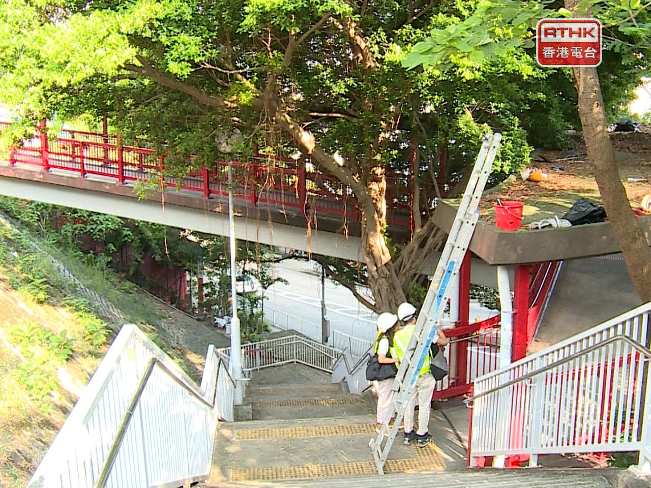 事發現場是連接竹園南邨及摩士公園的行人天橋，工人懷疑在天橋頂工作時暈倒。(張連登攝)