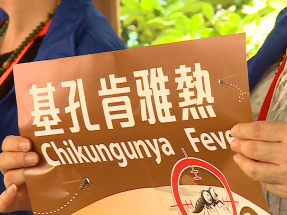 林文健︰基孔肯雅熱或出現局部本地傳播