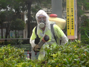 謝展寰稱研究新滅蚊方法在港是否可行