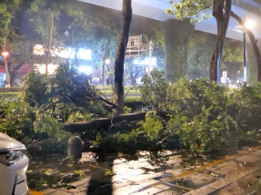 廣東東北多處明顯降雨　深圳全市進入暴雨防禦狀態