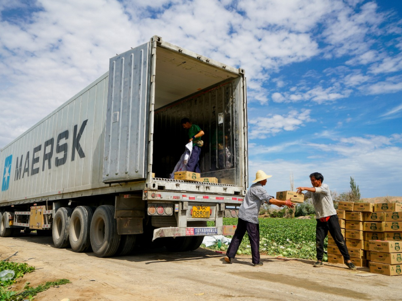 Previously, fruit and vegetables from Xinjiang were mainly transported to the Middle East by sea, land and rail. File photo: Xinhua