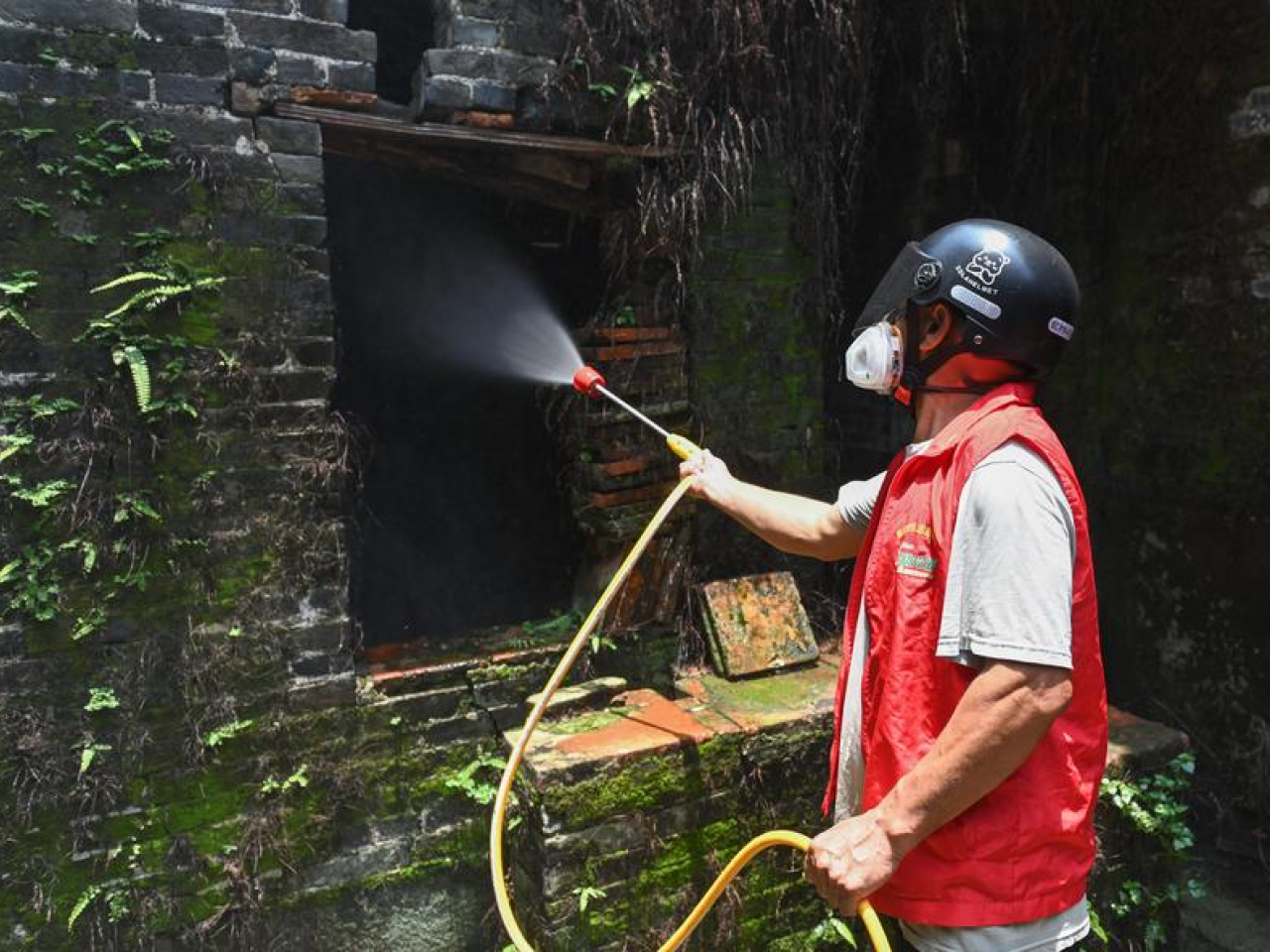 當局派人員到佛山市順德區噴藥消殺蚊蟲。（新華社資料圖片）