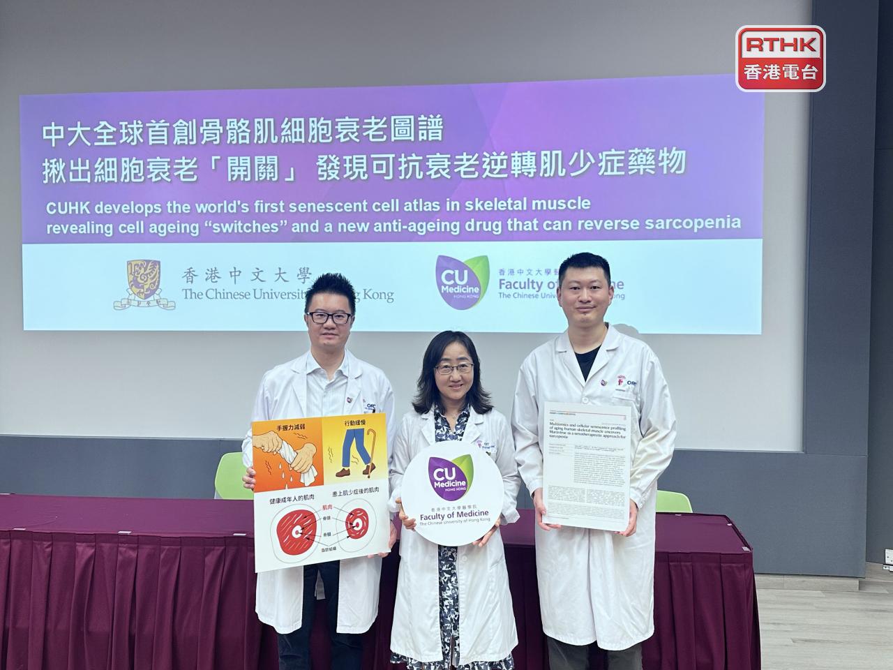 中大醫學院全球首創人類骨骼肌細胞衰老圖譜，發現有治療肌肉衰老、俗稱肌少症的新藥物。（實習記者鄒潔怡攝）