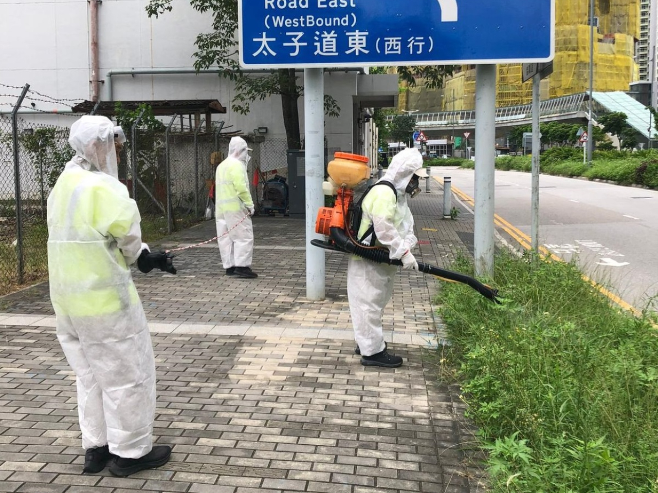 食環署承辦商人員在啟德北以霧化處理方式殺滅成蚊。（政府新聞處）