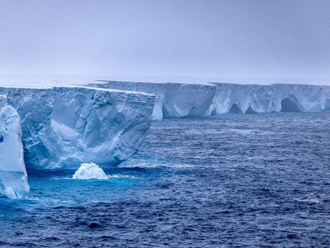 Researchers say snow melts faster in Antarctica due to the presence of polluting particles in areas frequented by tourists. File photo: Reuters