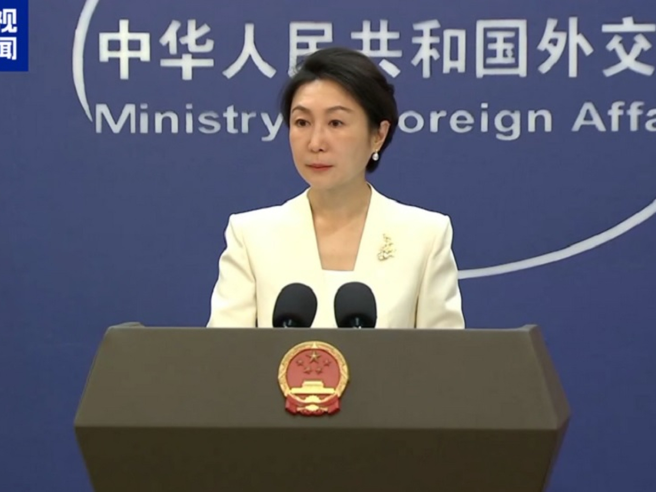 毛寧說，中方敦促新方有關部門停止散布謊言，多做有利中新關係健康穩定發展的事。（央視新聞圖片）