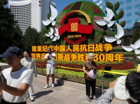 V-Day commemorations mark national resilience: scholar