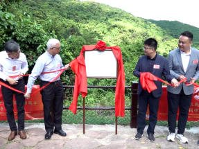 War and peace gets new light in country park unveiling