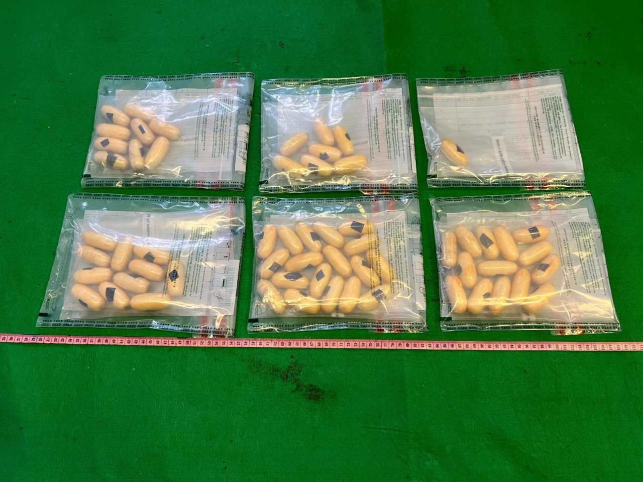 海關檢獲懷疑可卡因。（政府新聞處）