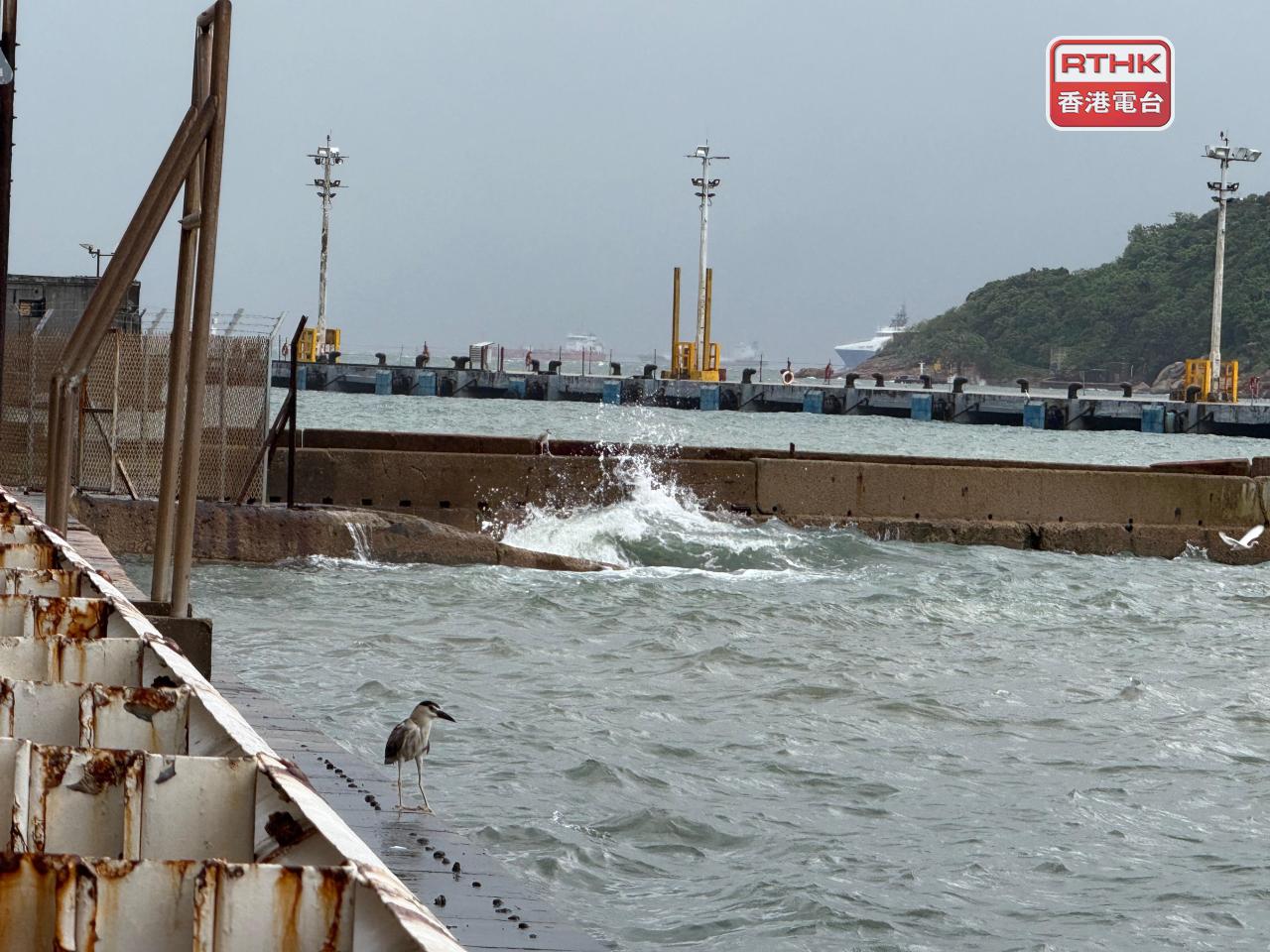 堅尼地城風浪頗大，不時有白頭浪打上岸。（盧紫菁攝）