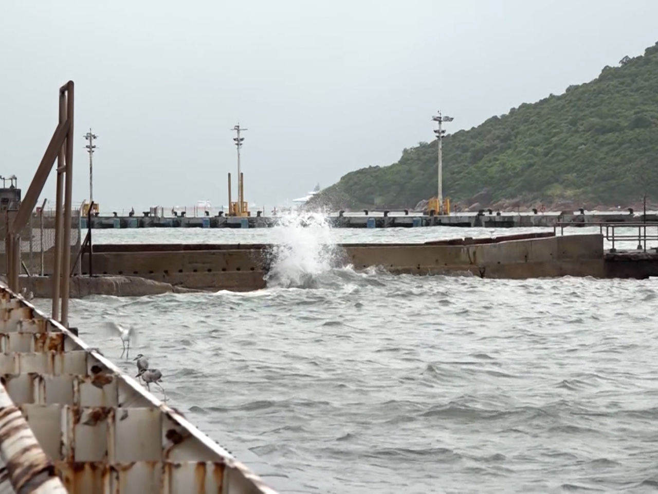 The downgrade prompted a widespread resumption of public transportation services across the SAR. Photo: RTHK