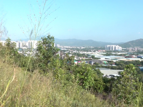 施政報告2025｜消息：就23公頃北都洪水橋發展設全資公司