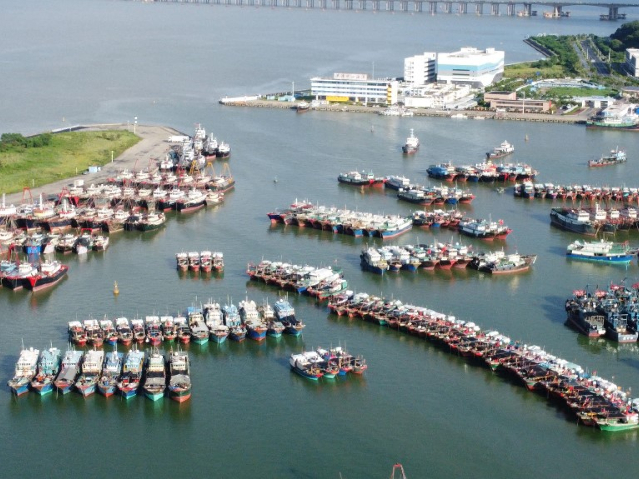 More than 10,000 coastal vessels across the province have been moved to safer waters. File photo: AFP