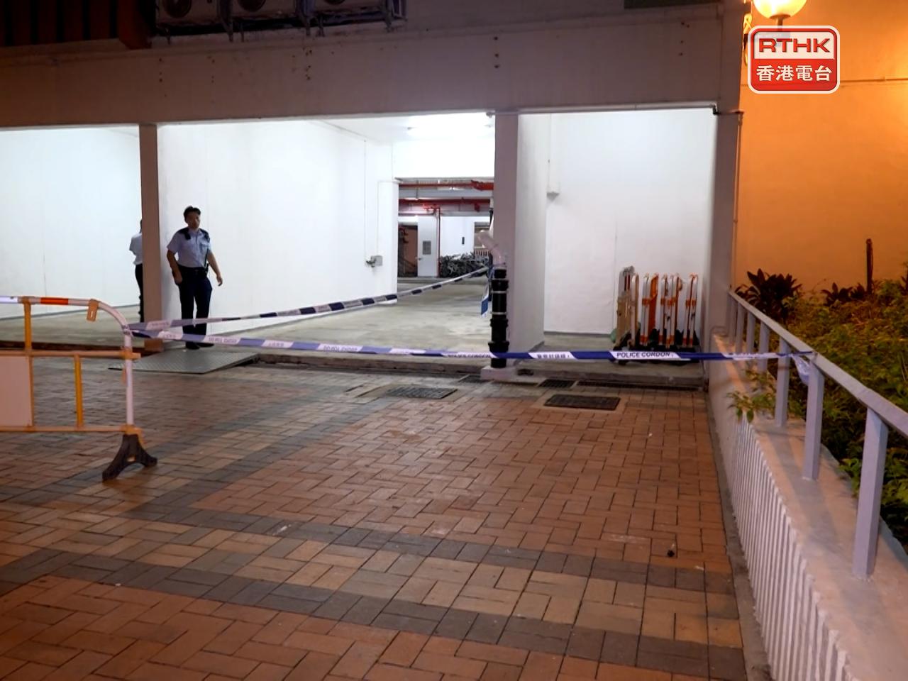 一名4歲女童在沙田禾輋邨從高處墮下，送院後證實不治。（孔令輝攝）