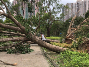 Ragasa is more intense than Mangkhut: former HKO chief