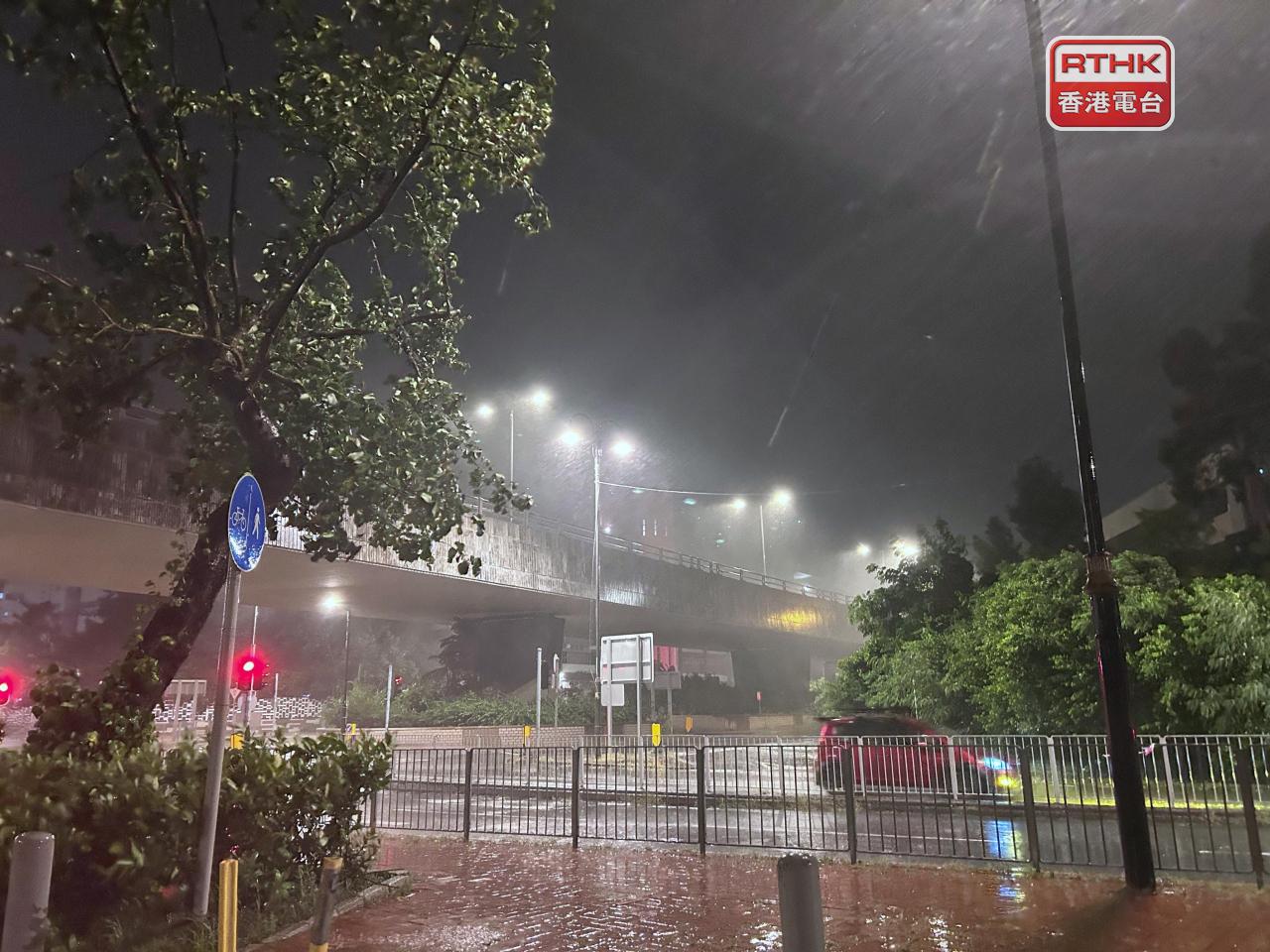 凌晨時分風力明顯增強，樹木被吹至左搖右擺，雨勢亦非常大。（林漢山攝）