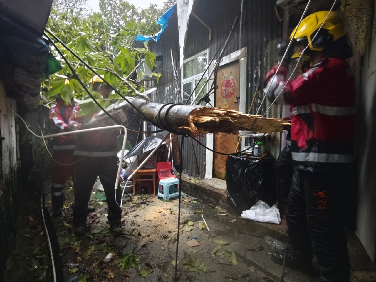 消防處接獲多個求助個案，包括超過130宗緊急塌樹事故。（消防處社交網站圖片）