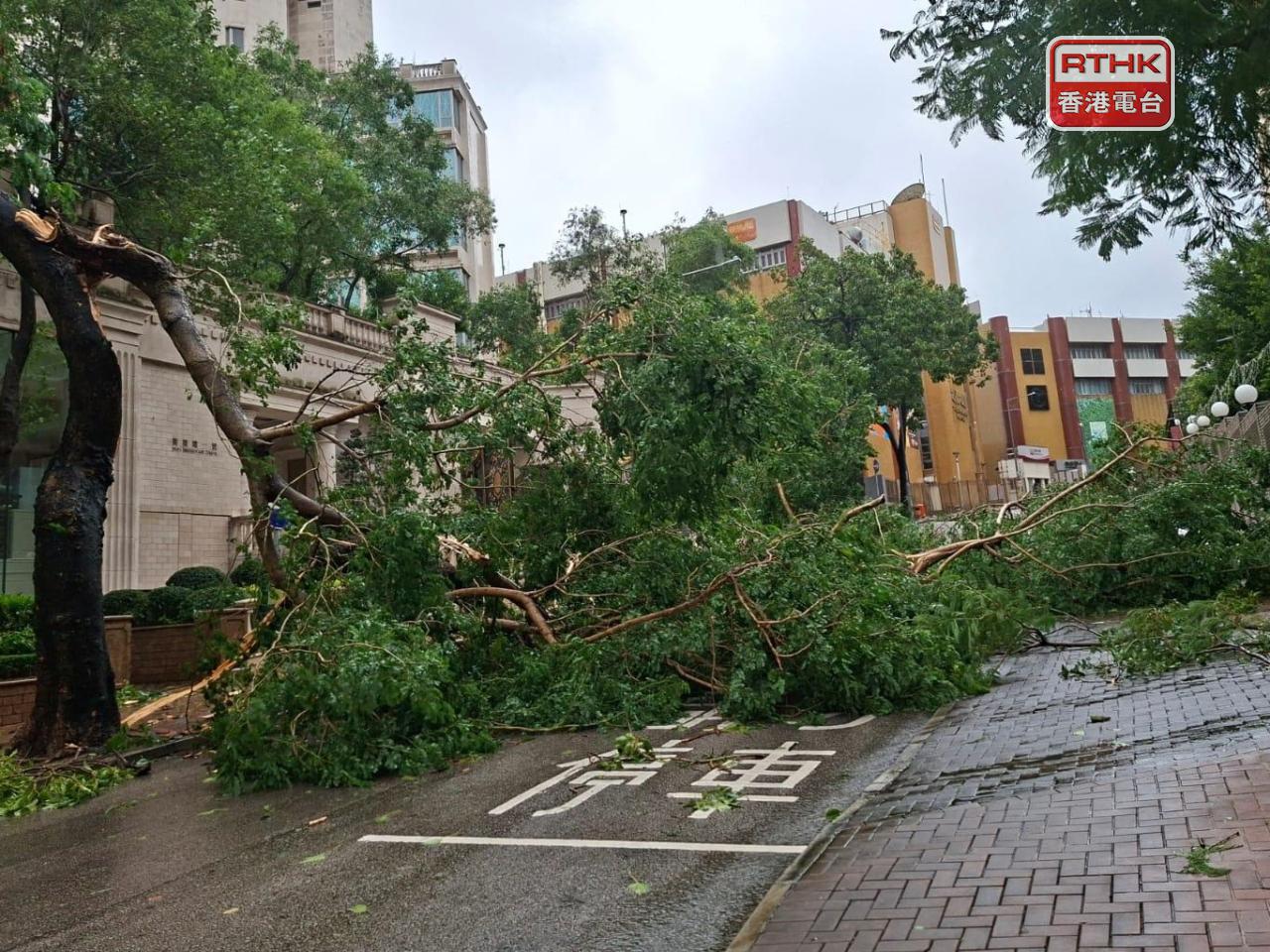 Benjamin Horton says Hong Kong needs to continue to boost its resilience against powerful storms. Photo: RTHK