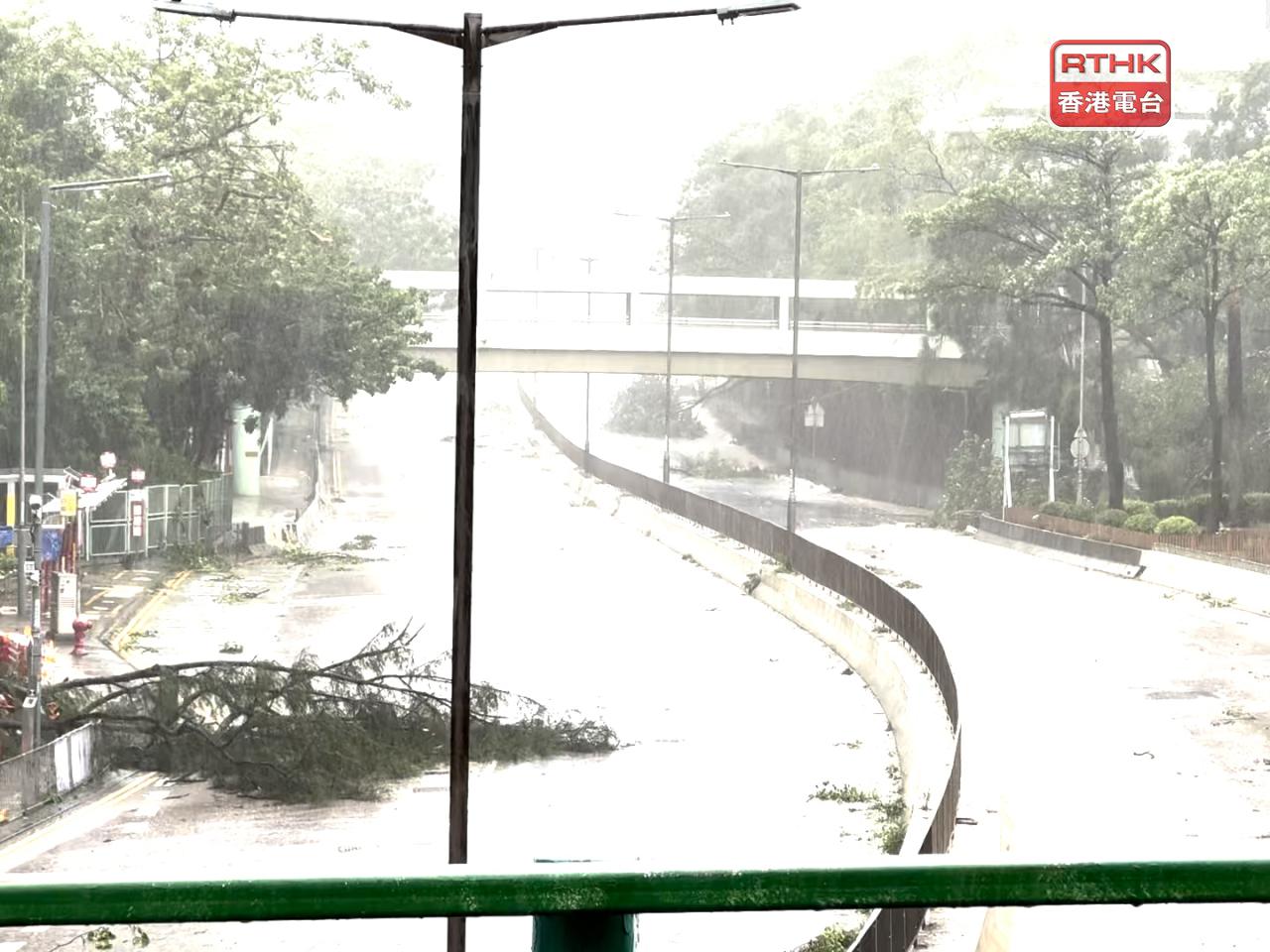 天文台表示，未來數小時香港廣泛地區可能受大雨影響。（葉燿坤攝）