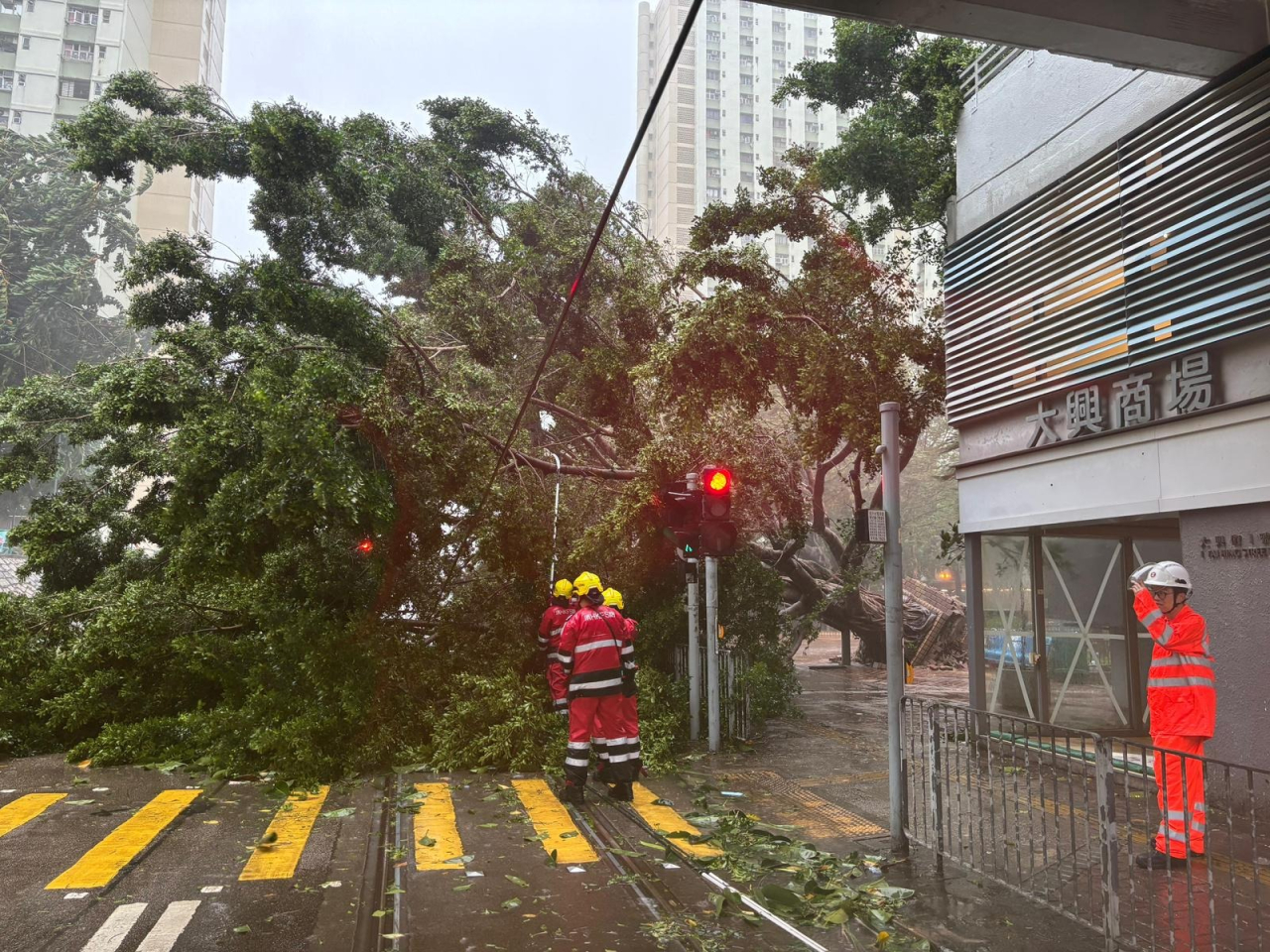 港鐵表示，部份較長露天段的鐵路綫需要頗長時間檢查及搶修。（港鐵社交網頁圖片）