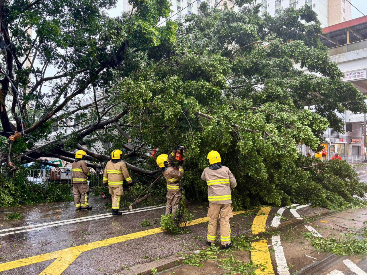 The MTR says several overhead cables of Light Rail tracks in Tuen Mun have been damaged by fallen trees. Photo courtesy of MTR
