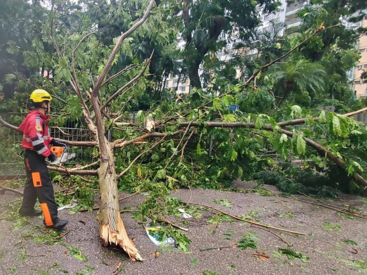 消防處呼籲市民繼續在安全地方暫避，保護自身安全。（消防處社交網頁圖片）