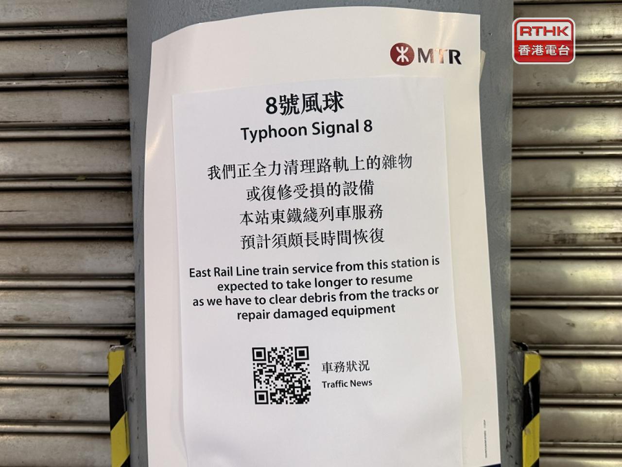 東鐵綫由大埔墟站至羅湖及落馬洲站過境路段，有較嚴重的塌樹及架空電纜損壞情況。（任浩鋒攝）