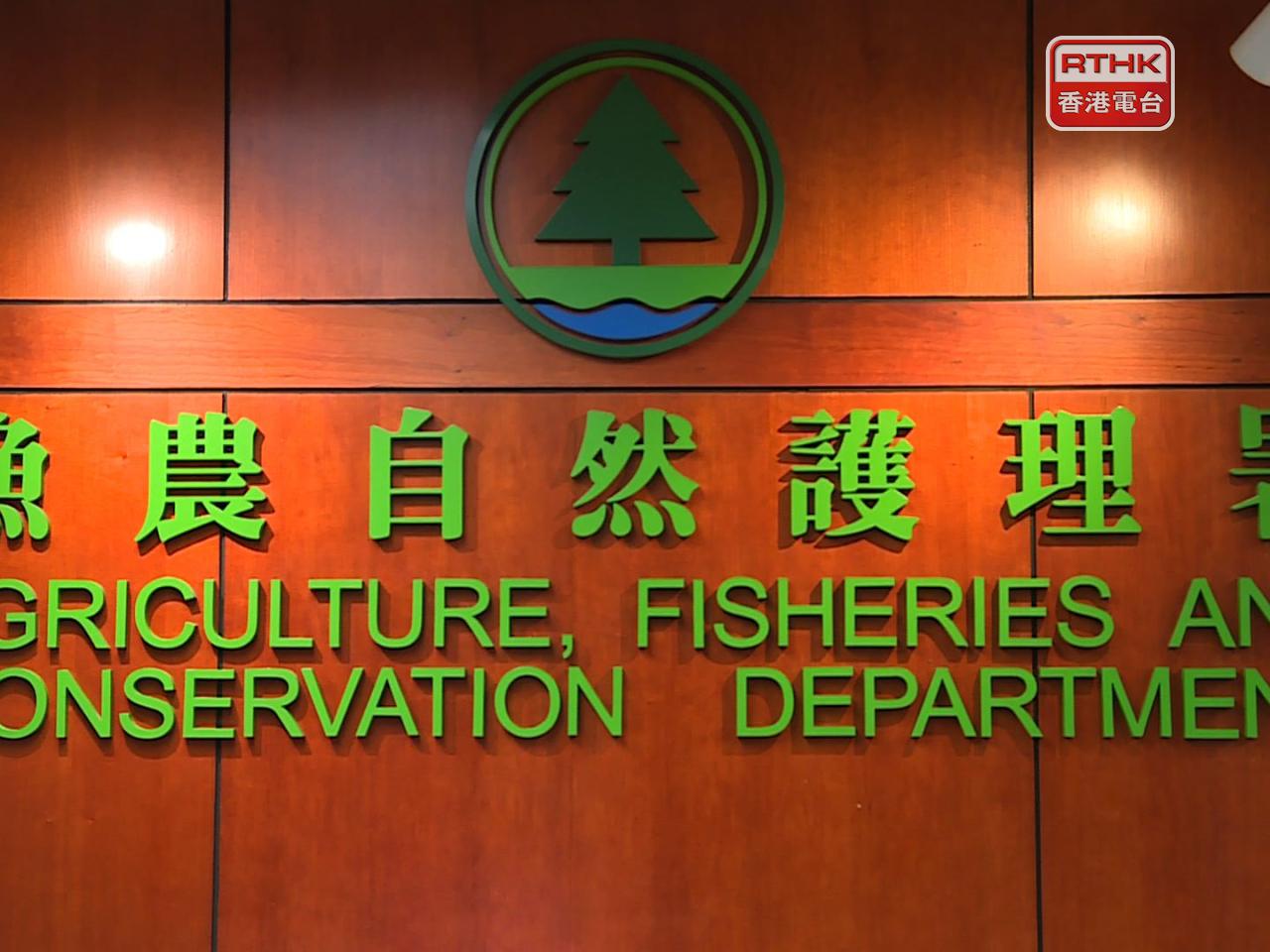 漁護署署指出，受影響農戶及養魚戶遞交申請截止日期為10月8日，受影響捕撈漁民遞交申請截止日期為11月11日。（港台圖片）