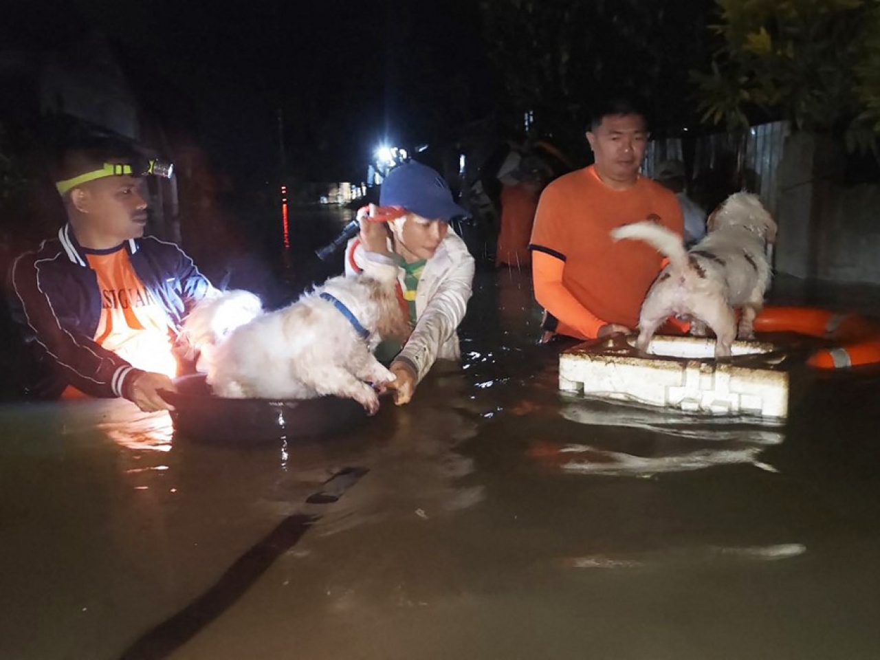 Coast guard personnel evacuate residents along with their pets as Severe Tropical Storm Bualoi hits Ormoc City in Leyte province. Photo: AFP